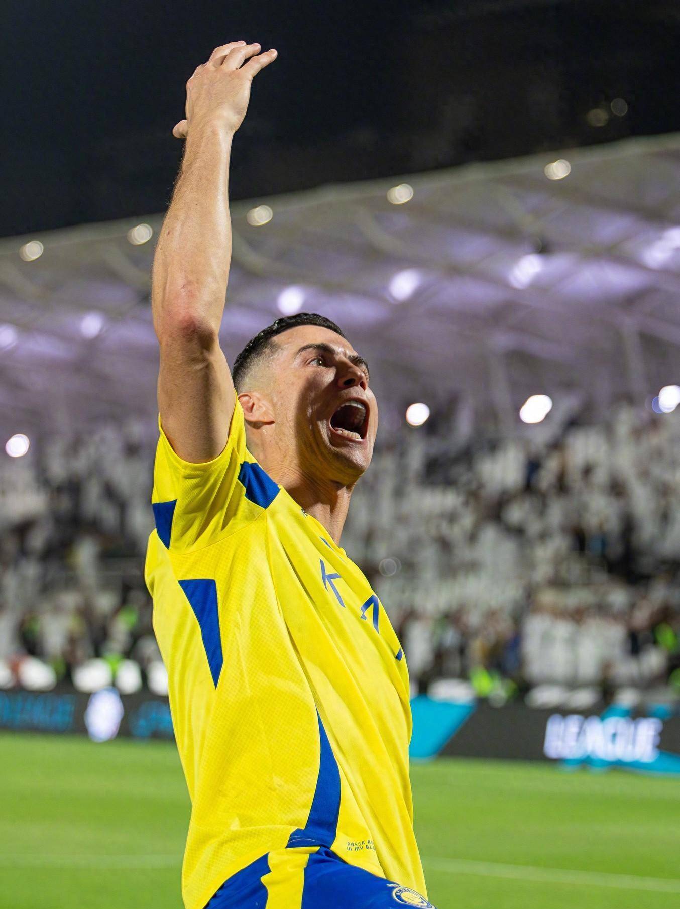 戴维斯杯第 戴维斯杯第