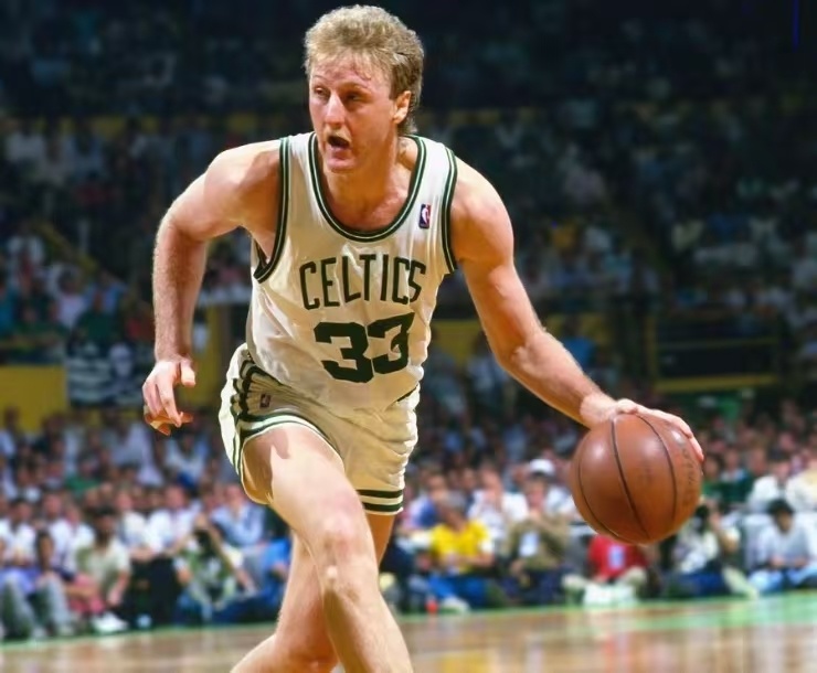 球队老将的 球队老将的