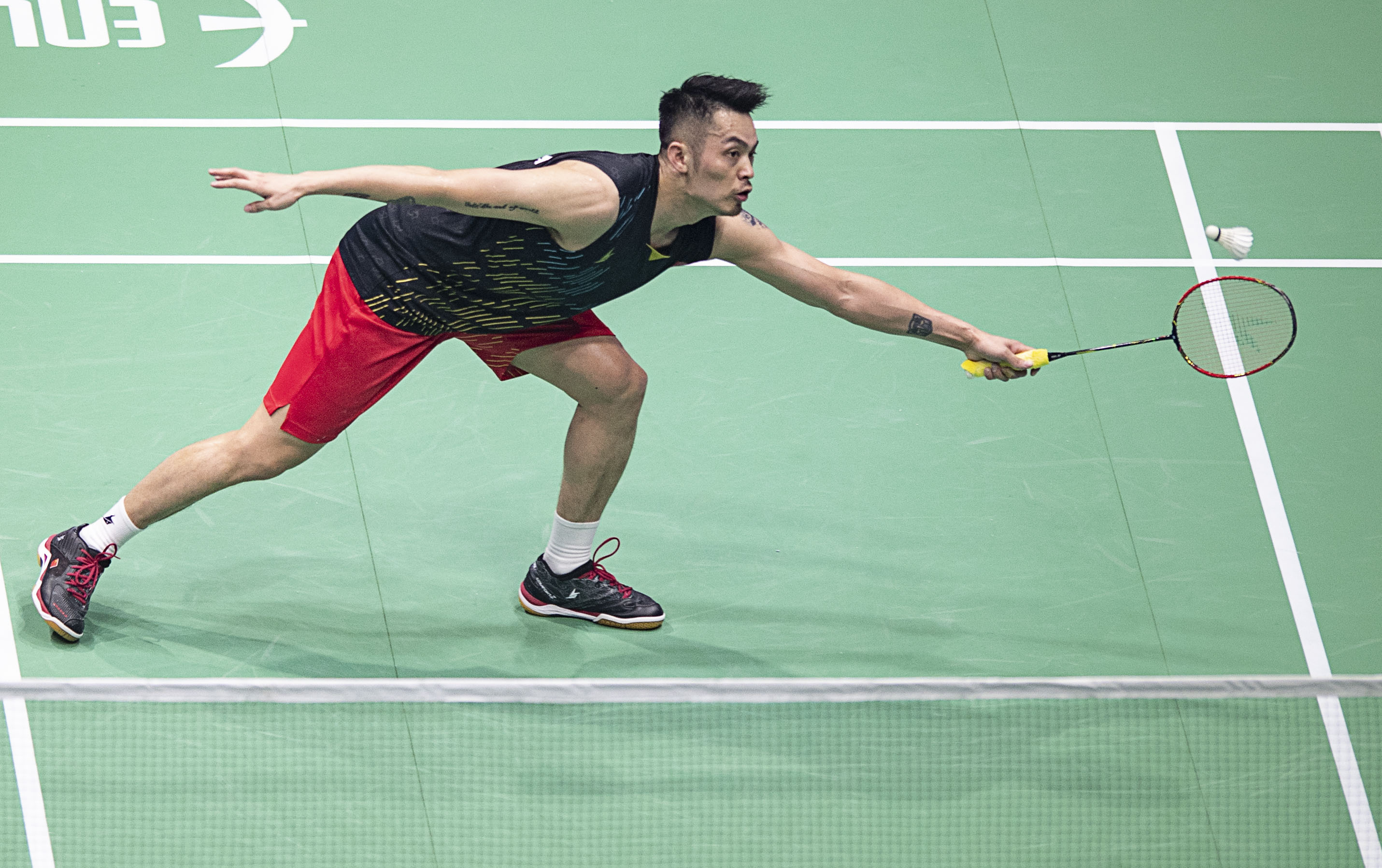 红雀情怀 红雀情怀