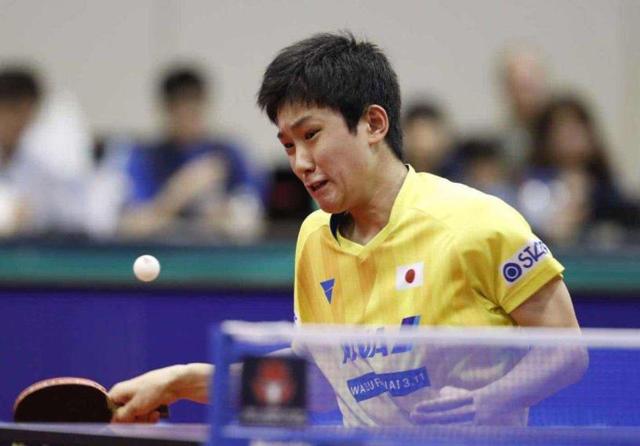 只公布判定 只公布判定